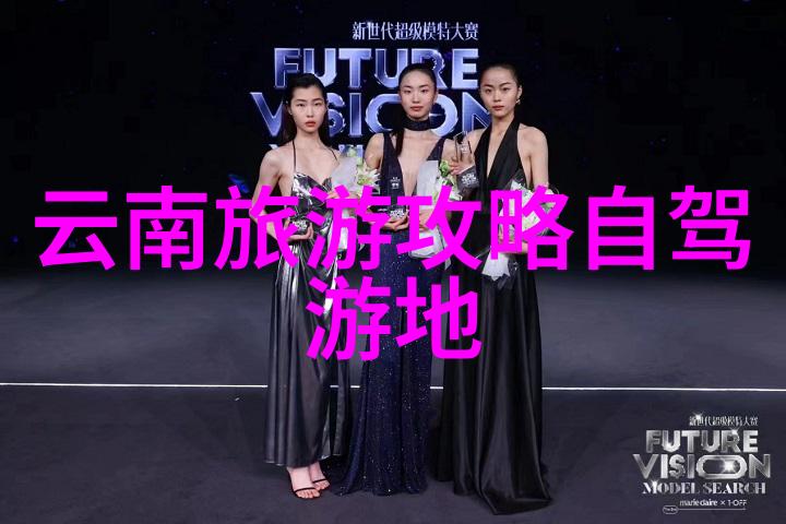 逆袭的秘密从se wyt到成功的奇妙旅程