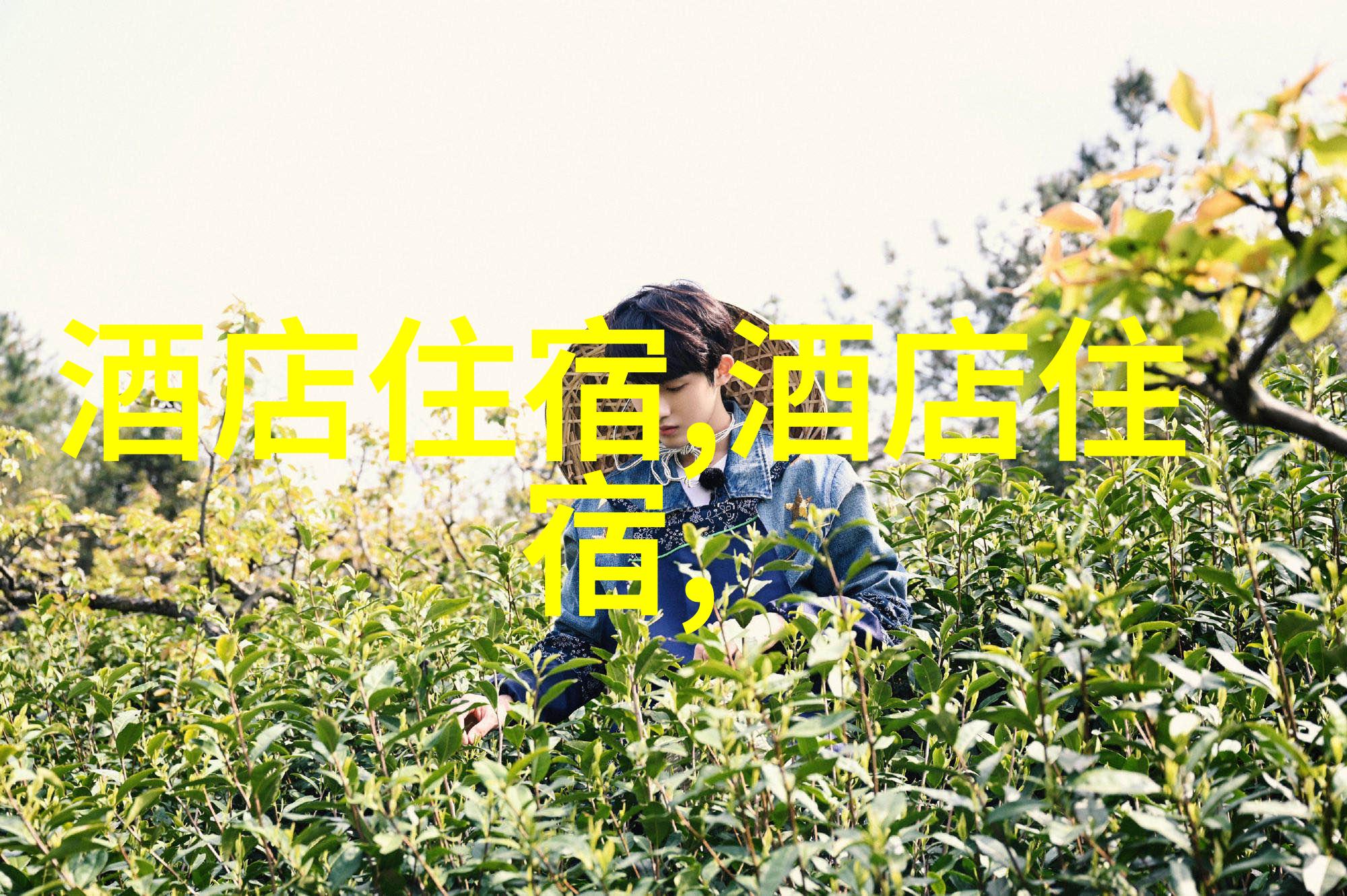 西安美食探秘一位旅行者的美食体验