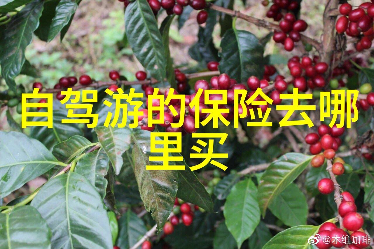 家常美食分享一网打尽厨房小红书上的经典菜谱