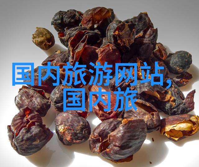携程旅行助手轻松下载畅游世界