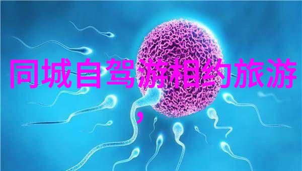 四爷的繁忙日记幕后英雄的忙碌足迹