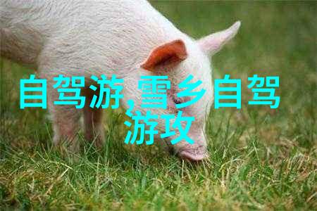 悬崖边缘神秘洞穴与奇岩怪石深入探索自然奇观