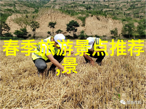 老太太的秘密