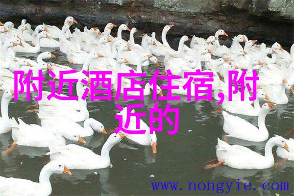 厨房里的激战2海外版国际烹饪大赛
