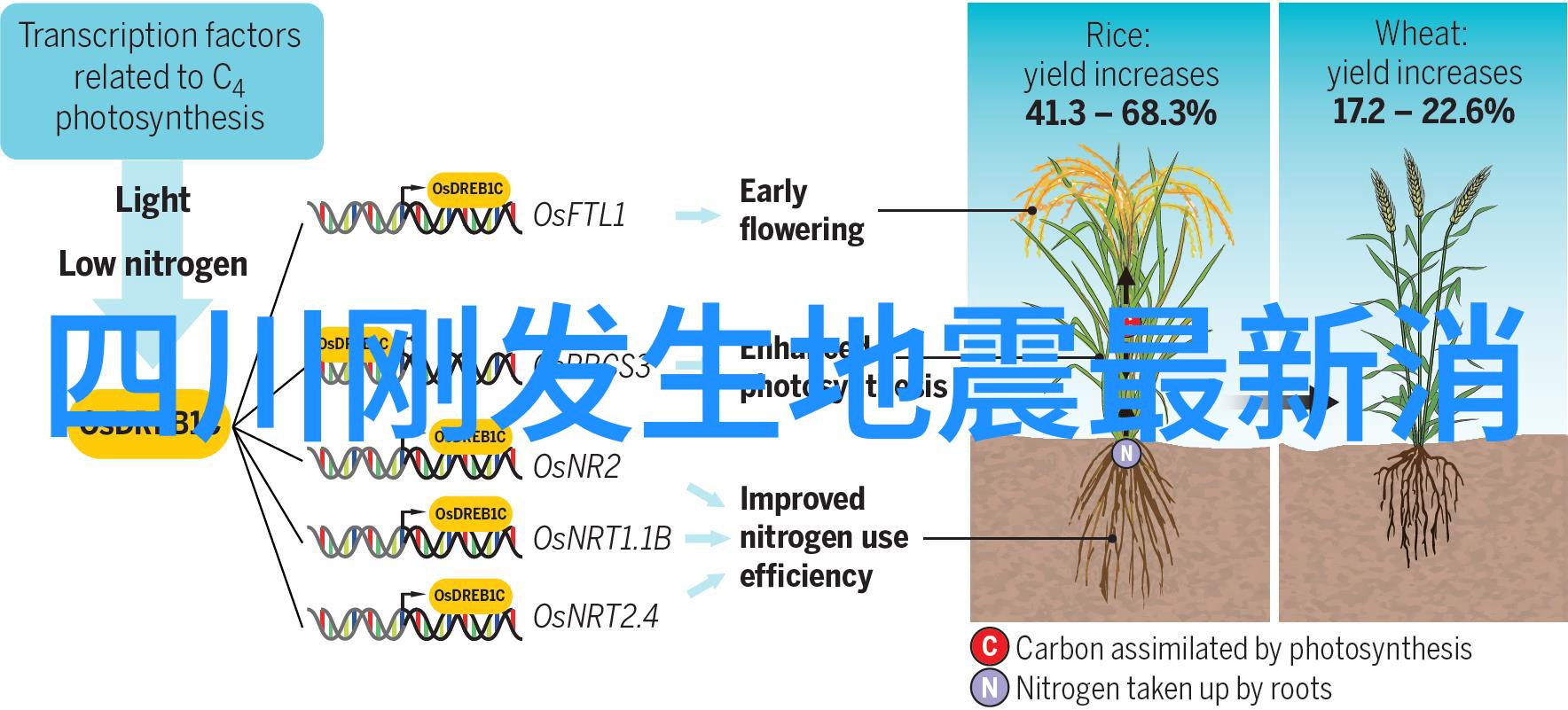 霸道帝王强势宠他是我曾经的宠儿现在却是我的影子