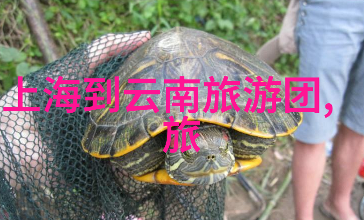 周围的精彩之地探索隐藏在日常生活中的美丽秘密