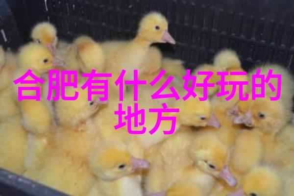 中国旅游景点百强榜揭秘最受欢迎的目的地