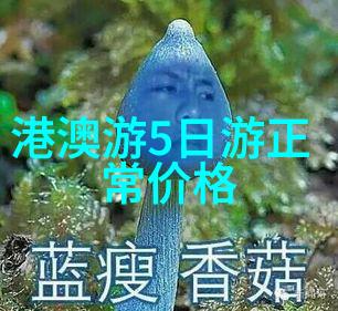 遥望风景线旅途的诗意交响