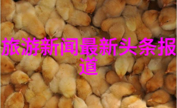 大理幻境游揭秘云南天地之美
