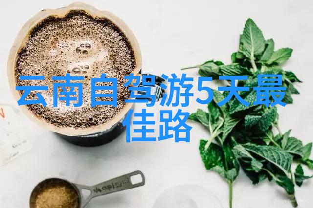 张家界自驾游探索湖南省最美风景区的乐趣