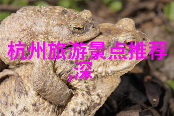 山影遥指泰山的呼唤