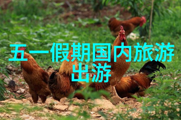 北京旅游攻略3日游自由行 - 京城探秘三天两夜的北京自由行指南