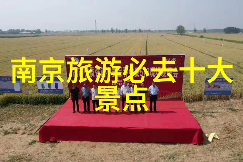 去西安怎么玩最合适我来教你如何在西安玩得开心