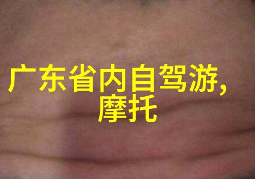一个人看的高清WWW视频免费-追逐清晰探索高质量网络视频资源