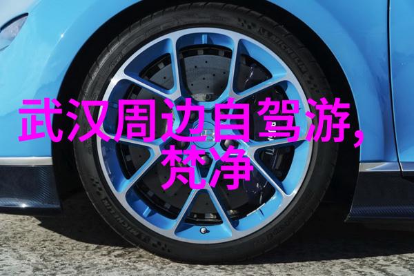耍狠 金丙 - 金丙的铁拳揭秘他的斗争哲学