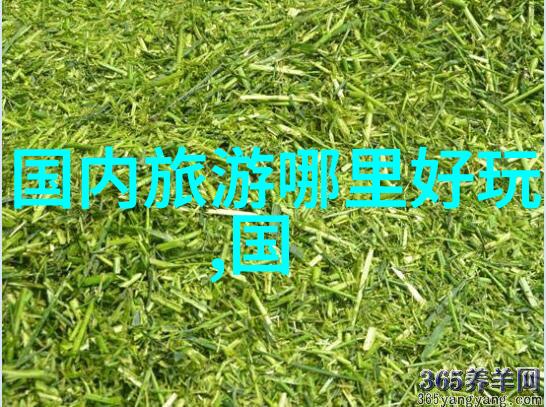 游记-穿越时空的旅人我的1500字长篇游记