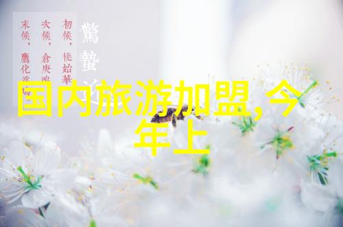 高速追逐卡丁车竞速世界的激情与技术