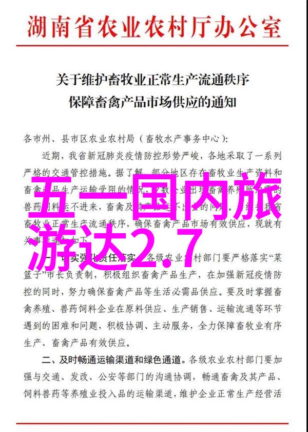 探索美食短片世界如何找到并使用免费的高质量素材