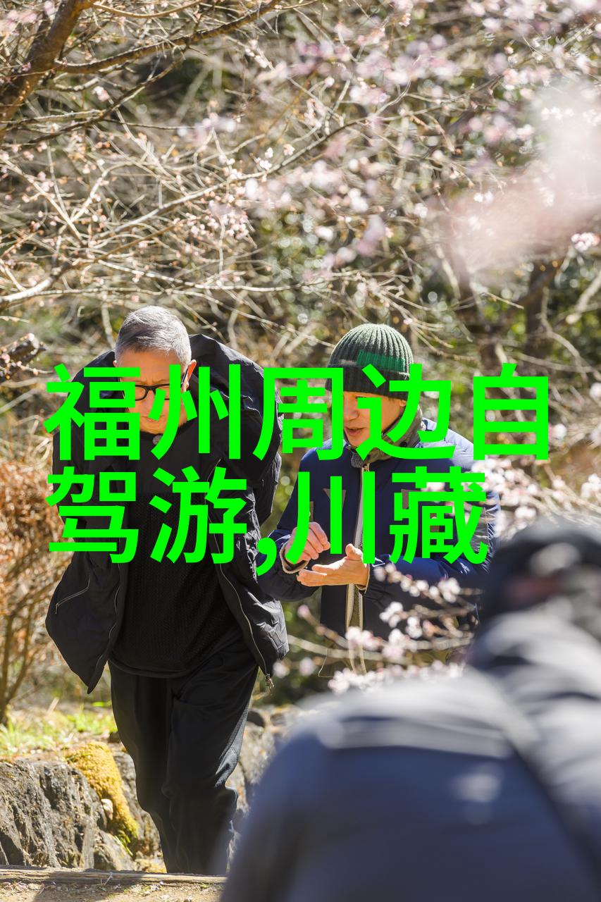 低碳旅行新选择20元住宿的温馨小窝