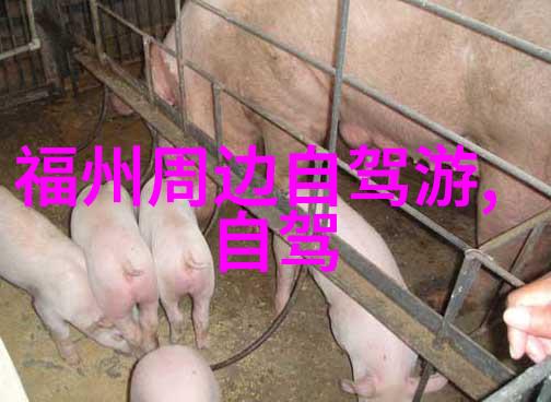 手指的颤抖翻译与混乱的游戏