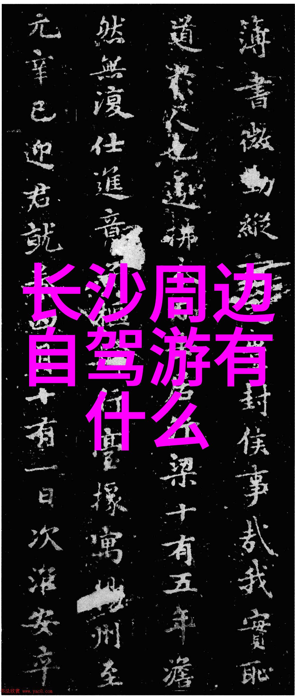 节庆风俗-传统盛宴揭秘各地节日美食的文化故事