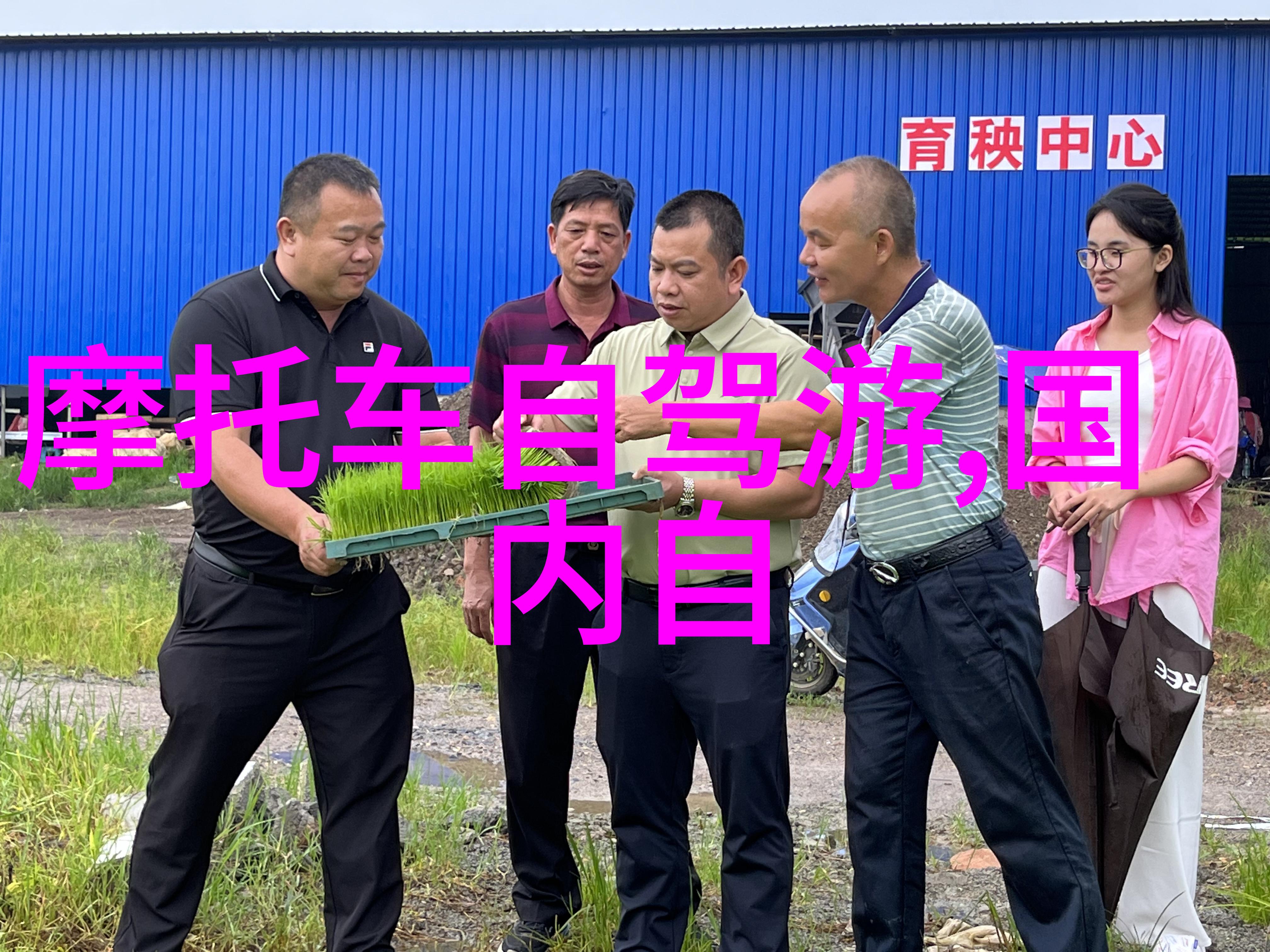射雕英雄传83版高清下载经典武侠电视剧全集免费观看