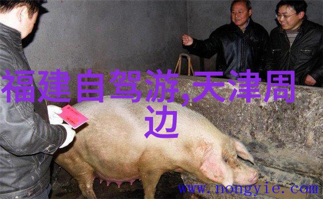 中国适合旅游的城市排行榜 - 探秘国门揭秘中国最佳旅行目的地
