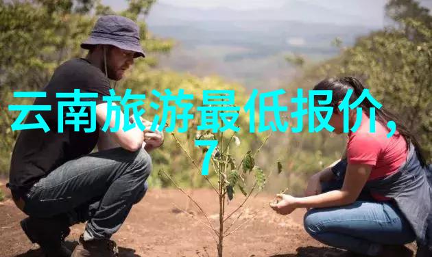户外小游戏大全轻松享受自然之美