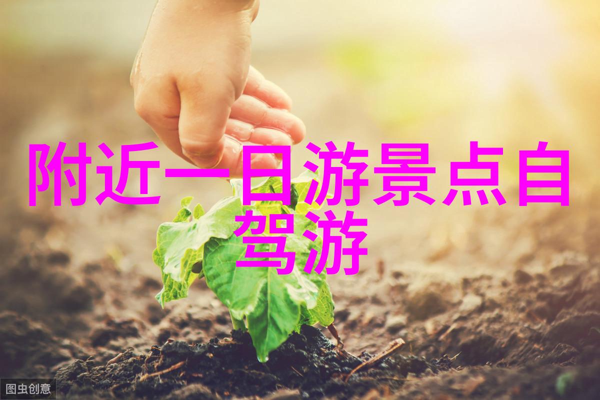 深入西双版纳解锁云南最神秘的热带雨林