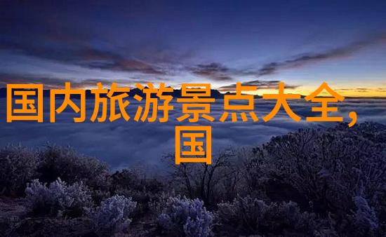 双胞胎一前一后夹心饼干双子我的趣味小吃探索