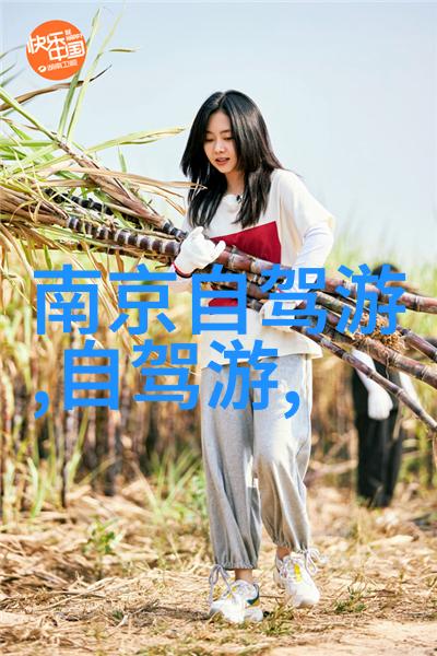 课间惊喜跳舞的时刻与学术的韵律