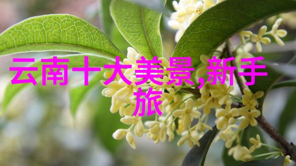 寻找那份属于自己的人生密码在漓江边上的思考与沉淀
