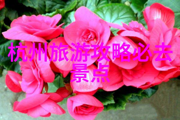 探索南方风情河南至云南自驾之旅路线指南