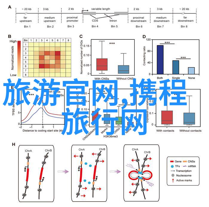 追逐网红风揭秘北京十大最火爆拍照景点