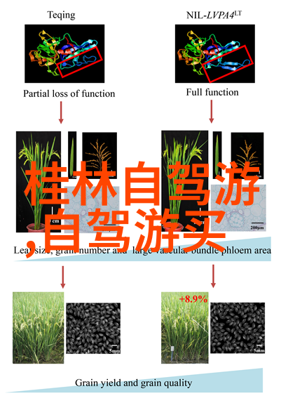 4月份去哪里旅游最好我这次要去哪儿揭秘最佳4月旅行目的地
