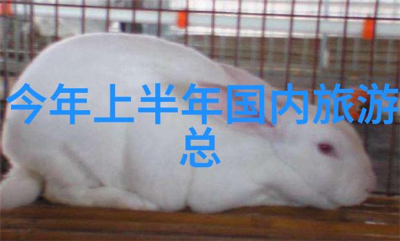 12月南方旅游热门目的地推荐冬日阳光之城探秘