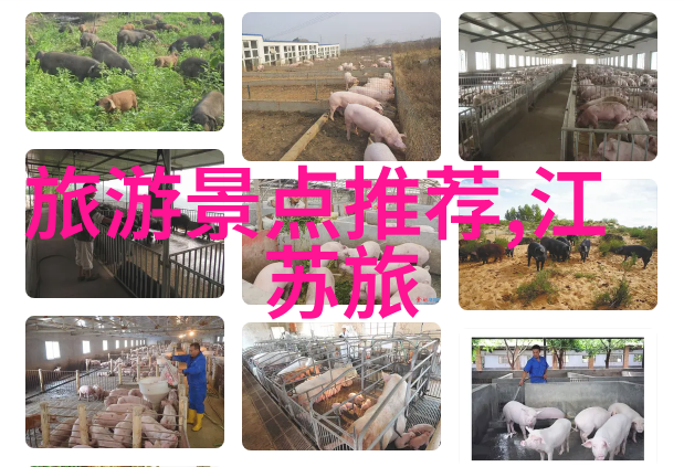 伦敦经济学院之道好成绩的物品养成(下)