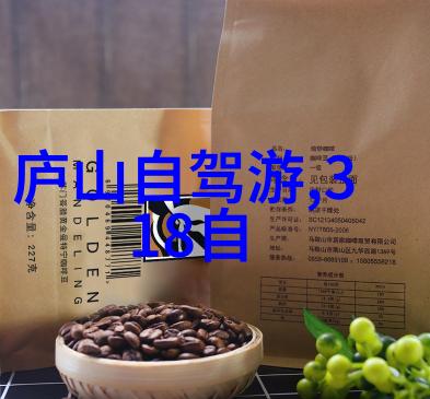 幼儿园户外活动的组织与实施-绿色课堂创意思维下的幼儿园户外活动策划与管理