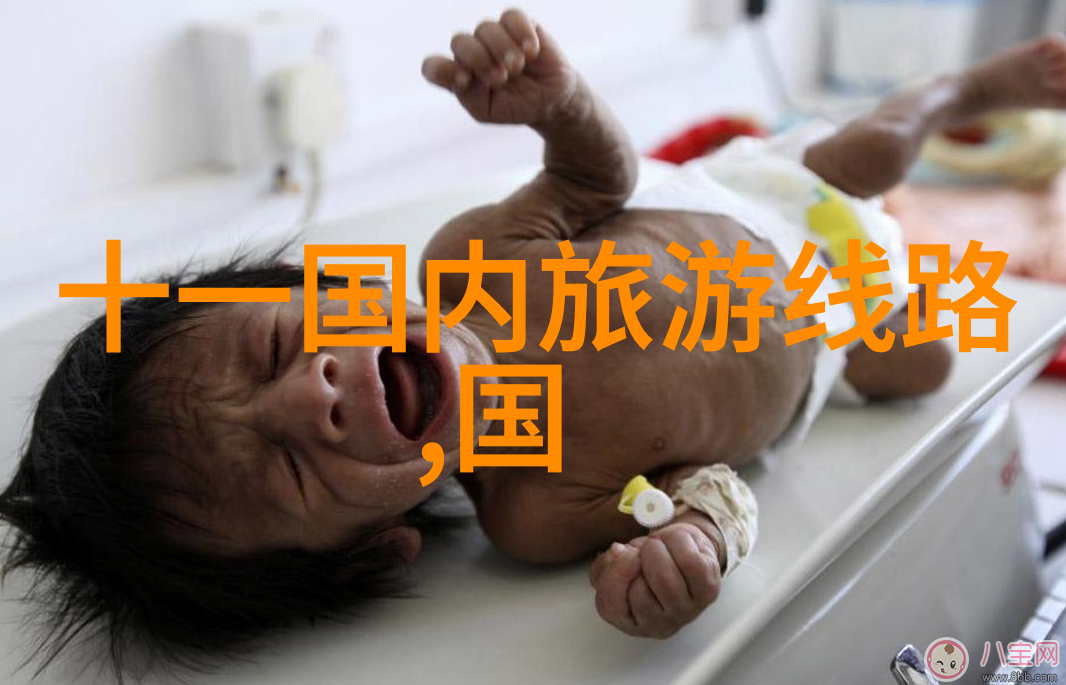 骑行群里的秩序与混沌分析原因与解决之道