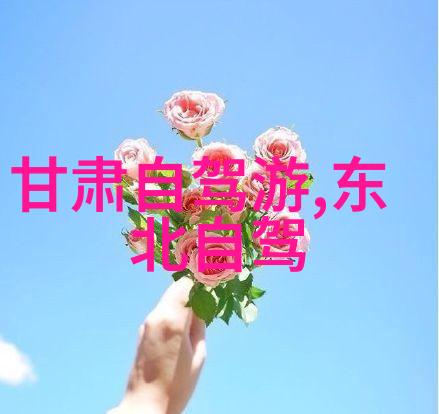 坝上草原自驾游攻略-漫步在风的怀抱坝上草原自驾游探秘指南