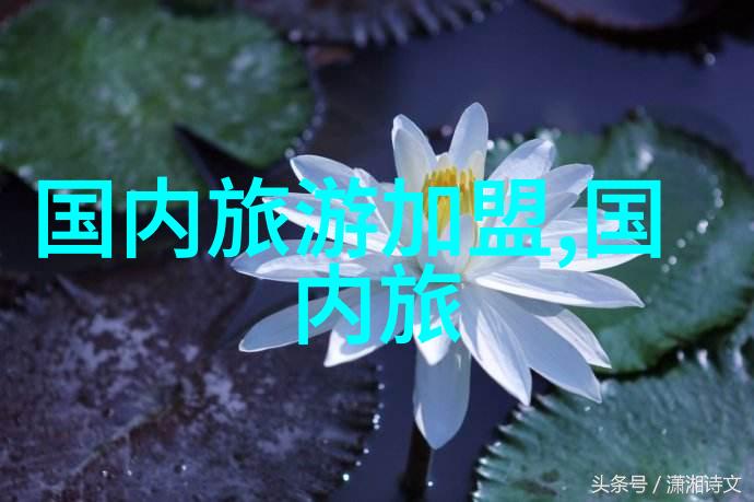 团队协作的艺术探索游戏拓展活动新篇章