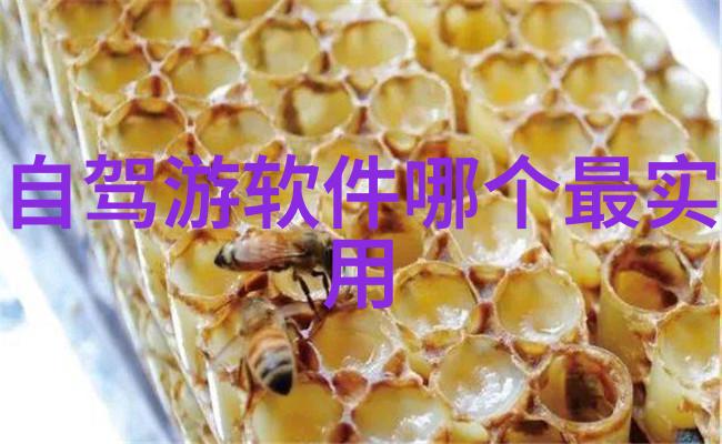 贵州自由行体验探索自然风光与文化底蕴