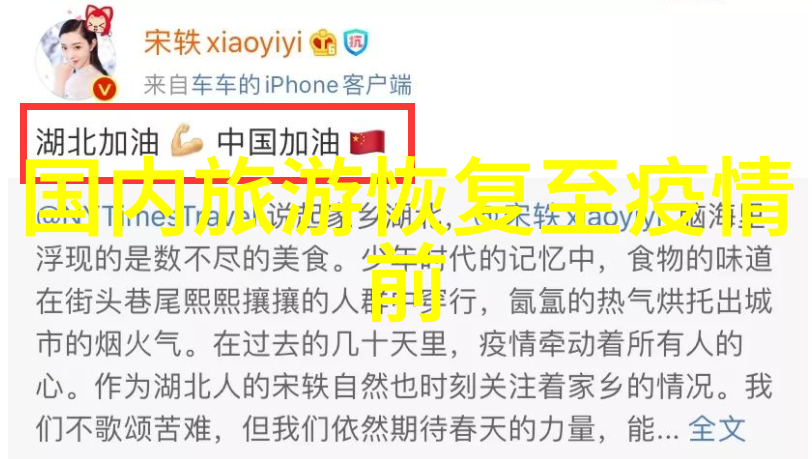 武汉行走指南探索江城古韵与现代魅力