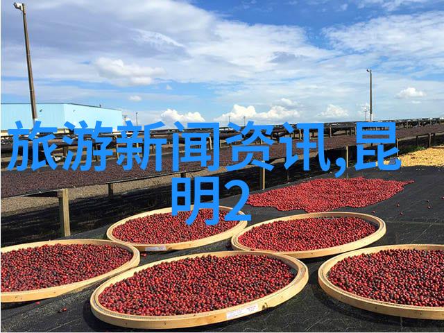 张家界天门山之旅自然奇观与徒步挑战