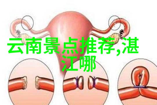 城市狂想世界上那些值得一游的都市热点是什么