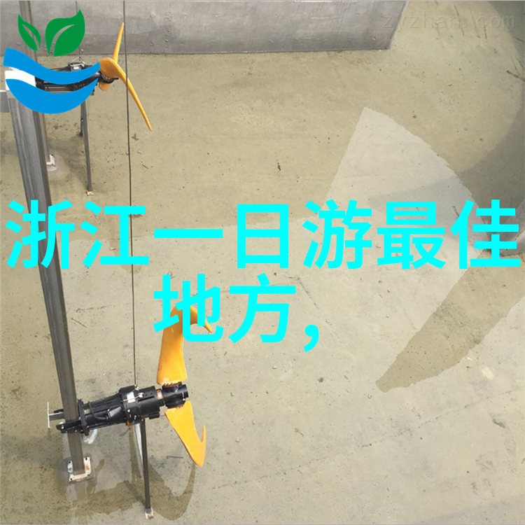 追逐美食不离不弃品味不同风味体验深圳周边美食之旅
