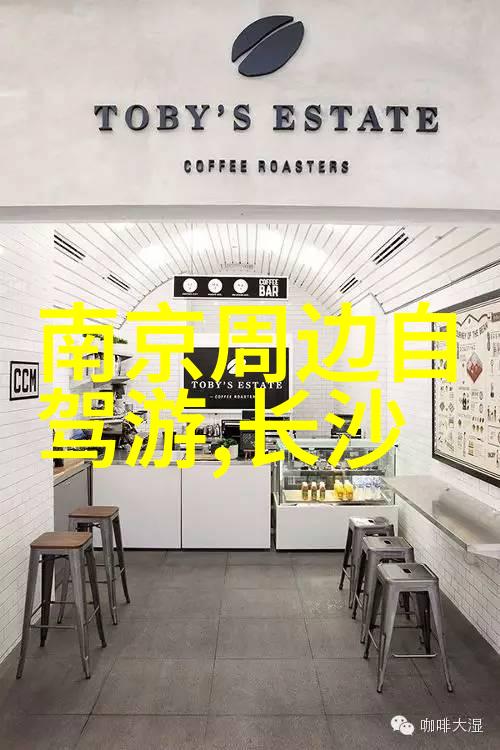 孩子们的户外冒险捕捉快乐与自然之美的瞬间