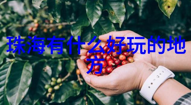 烟台旅游攻略三天游来烟台玩3天我告诉你怎么玩得最开心
