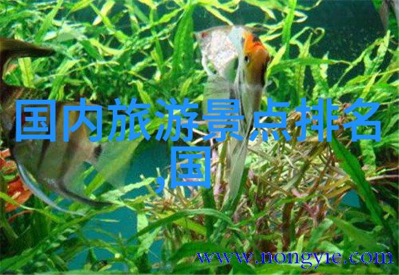 30人团建活动游戏我们一起玩出精彩30人的趣味挑战