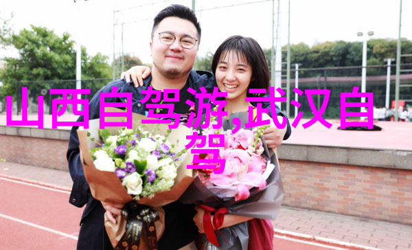 山地车入门从平坦地带到崎岖高峰的激情旅程